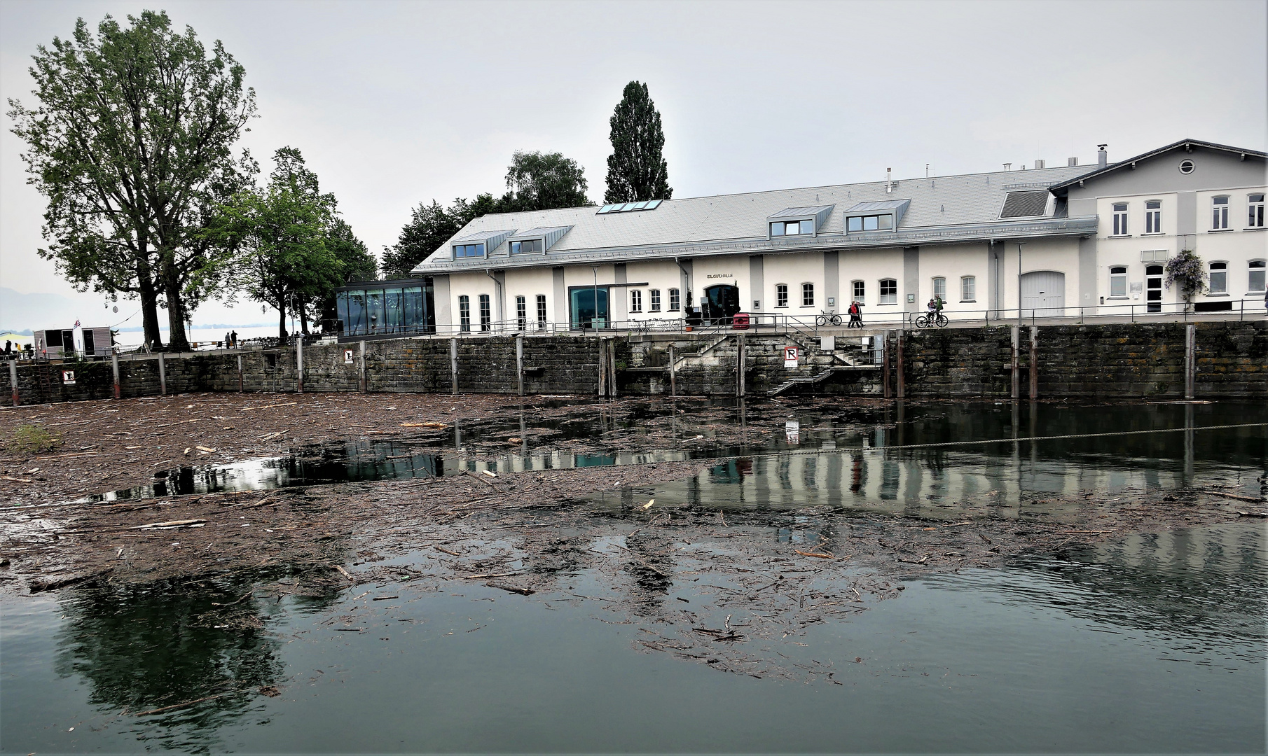 Im Hafen von Lindau - Spiegelung mit Treibgut