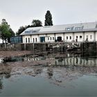 Im Hafen von Lindau - Spiegelung mit Treibgut