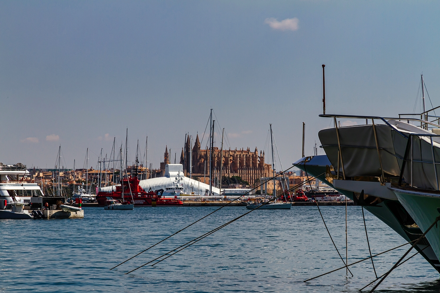 Im Hafen von Palma de Mallorca