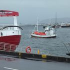 Im Hafen von Reykjavík: Auslaufen zum Whalewatching