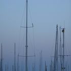 Im Hafen von Stralsund