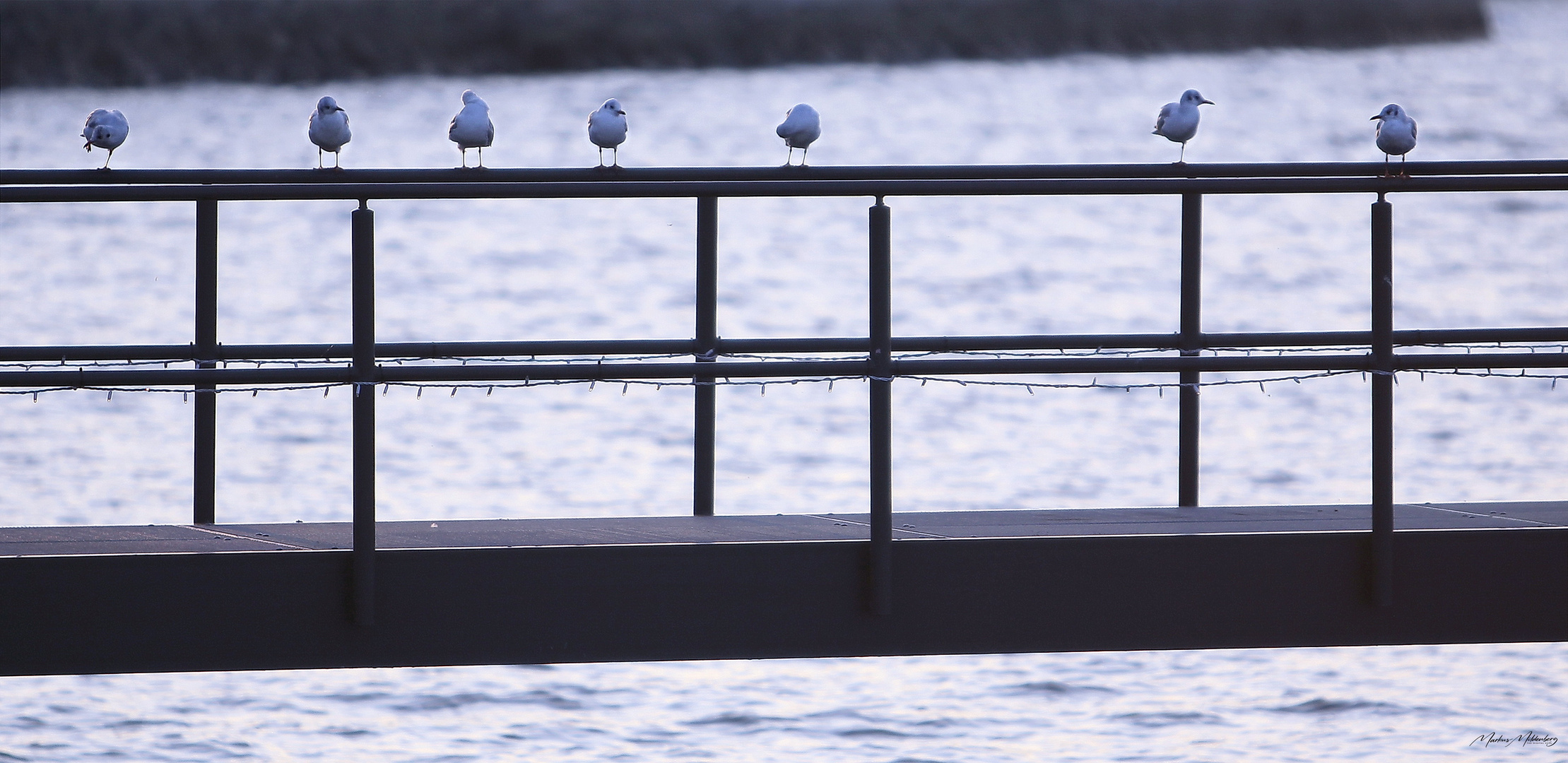 Im Hafen von Stralsund