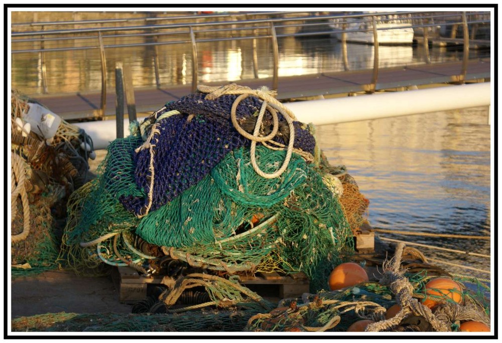 Im Hafen von Torquay in Devon Großbritanien