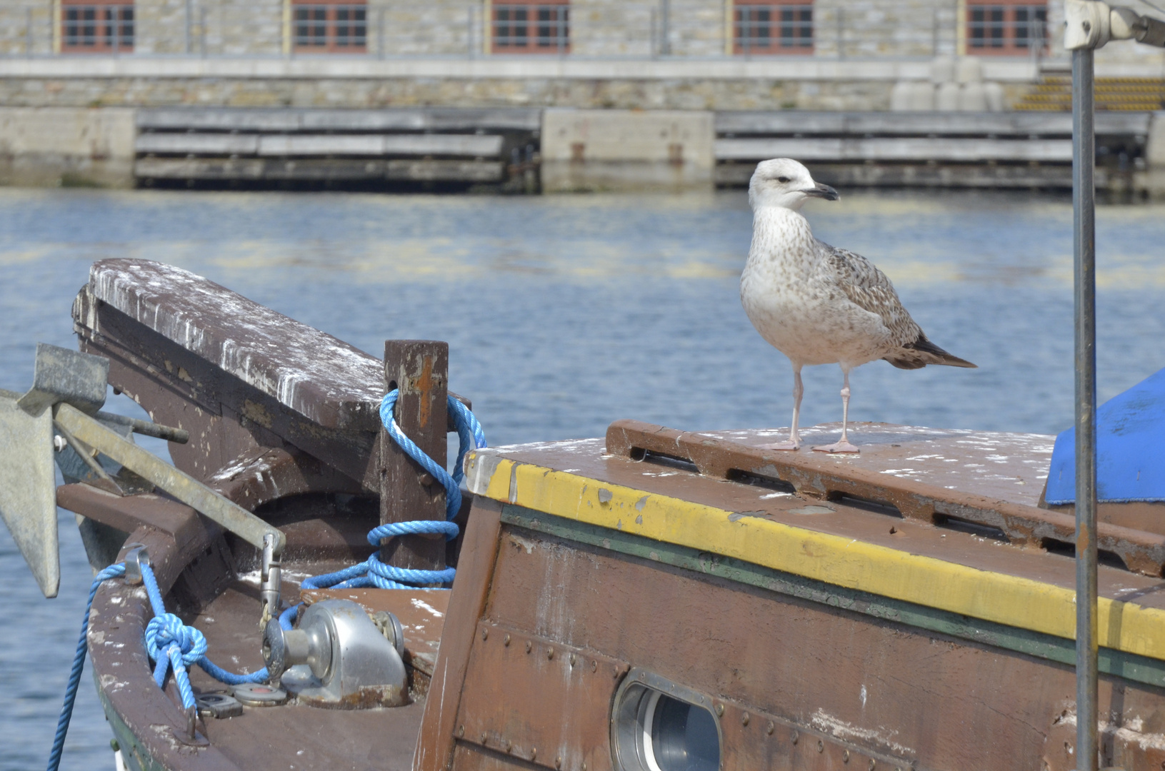 Im Hafen von Trieste