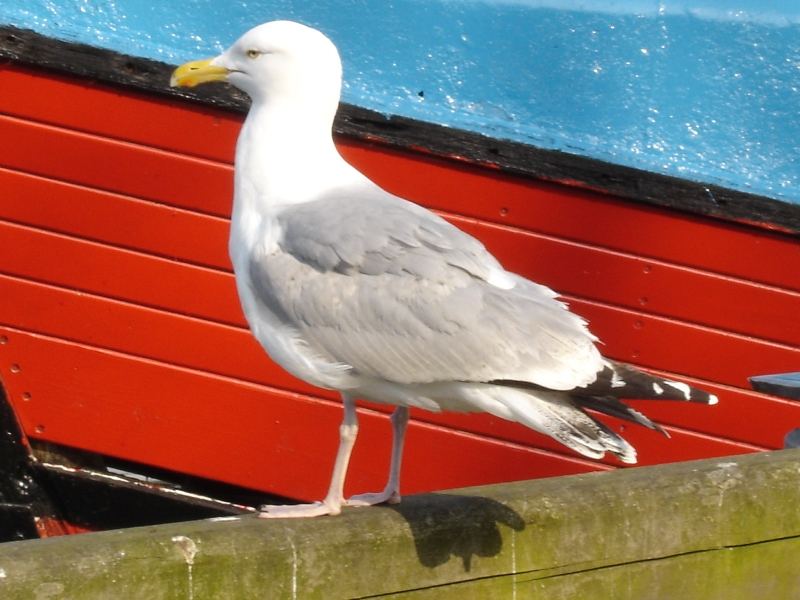 Im Hafen von Warnemünde