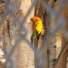 Im Hagenbecker Tierpark