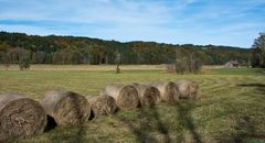 Im Hagener Moos bei Murnau