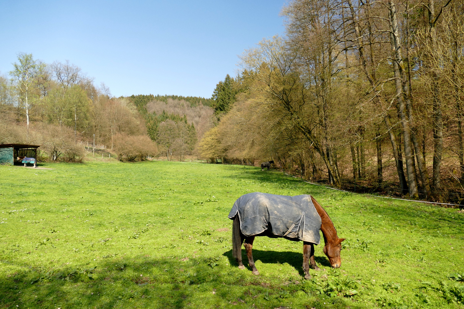 °°°° Im Hahnbuchetal °°°°