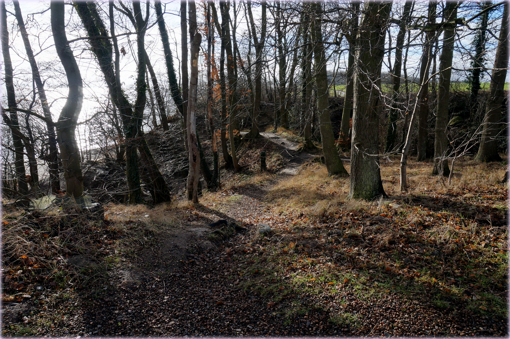 Im Hain auf der Steilküste Grömitz_02