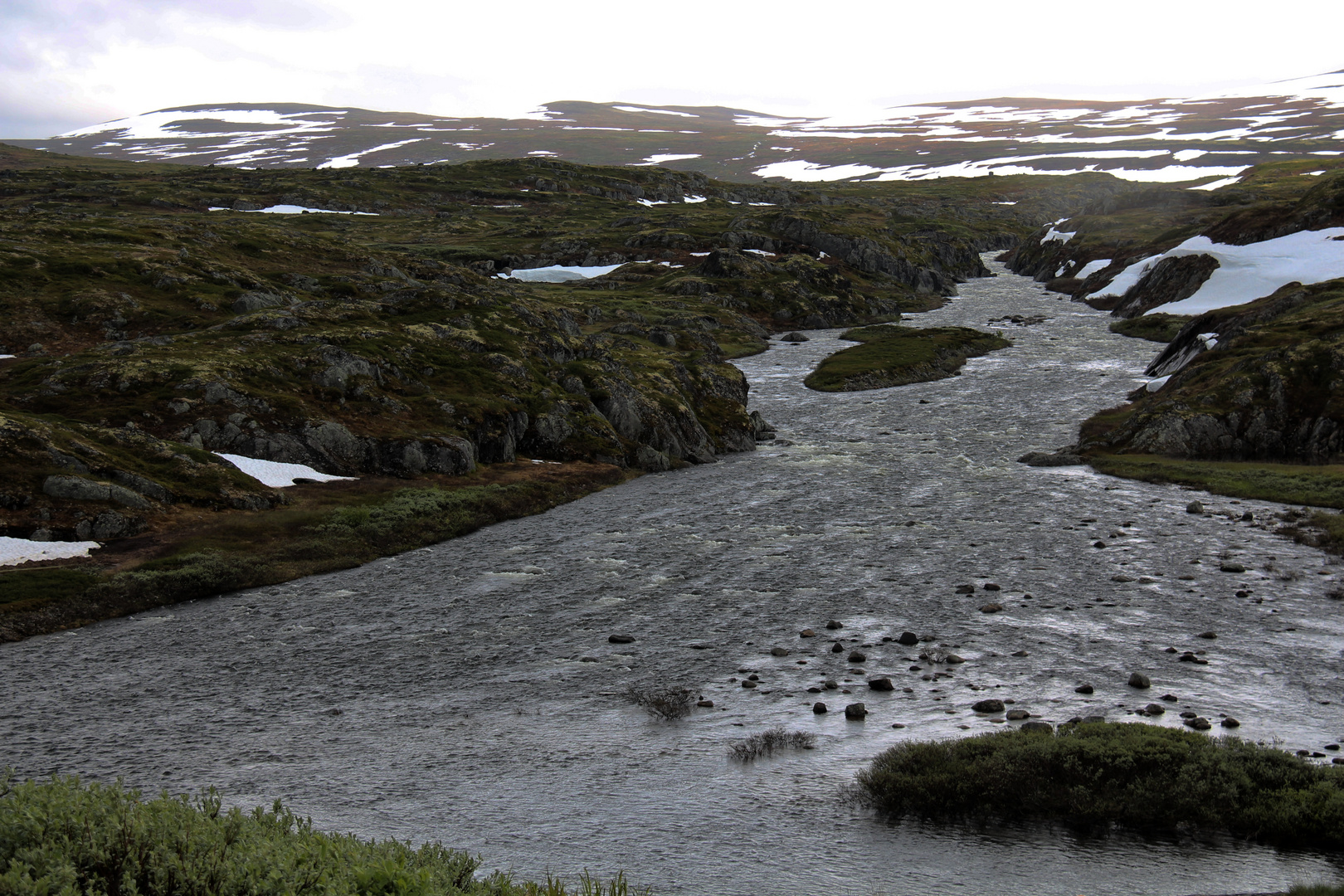 Im Hallingskarvet-Nationalpark/Norwegen