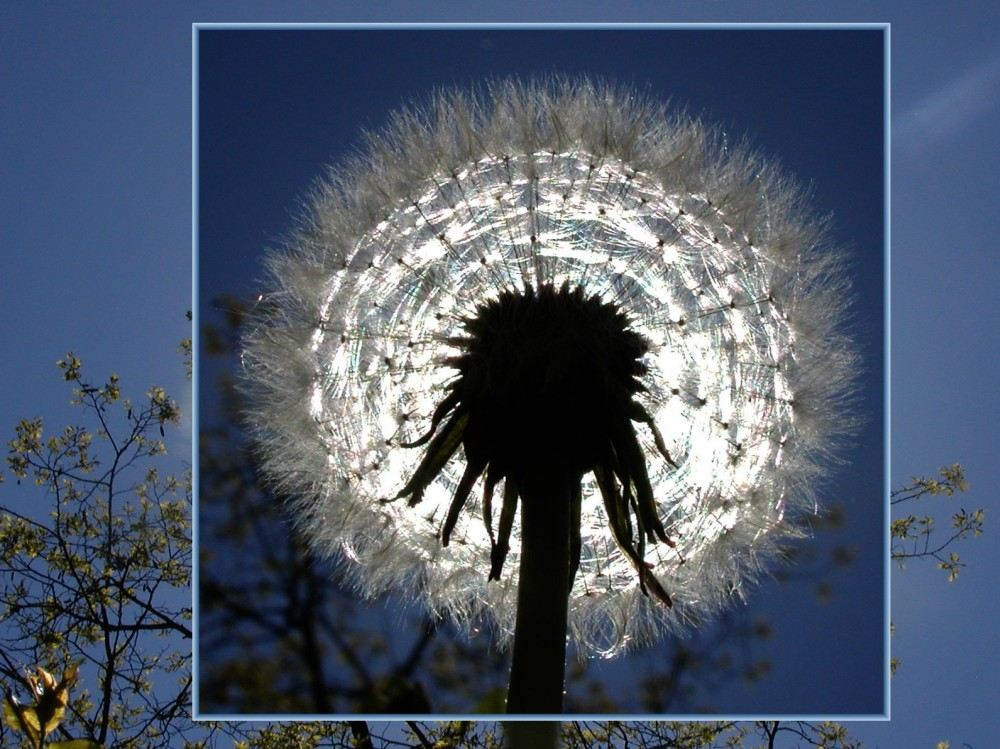 im Halo der Aprilsonne