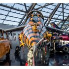 IM HANGAR 7