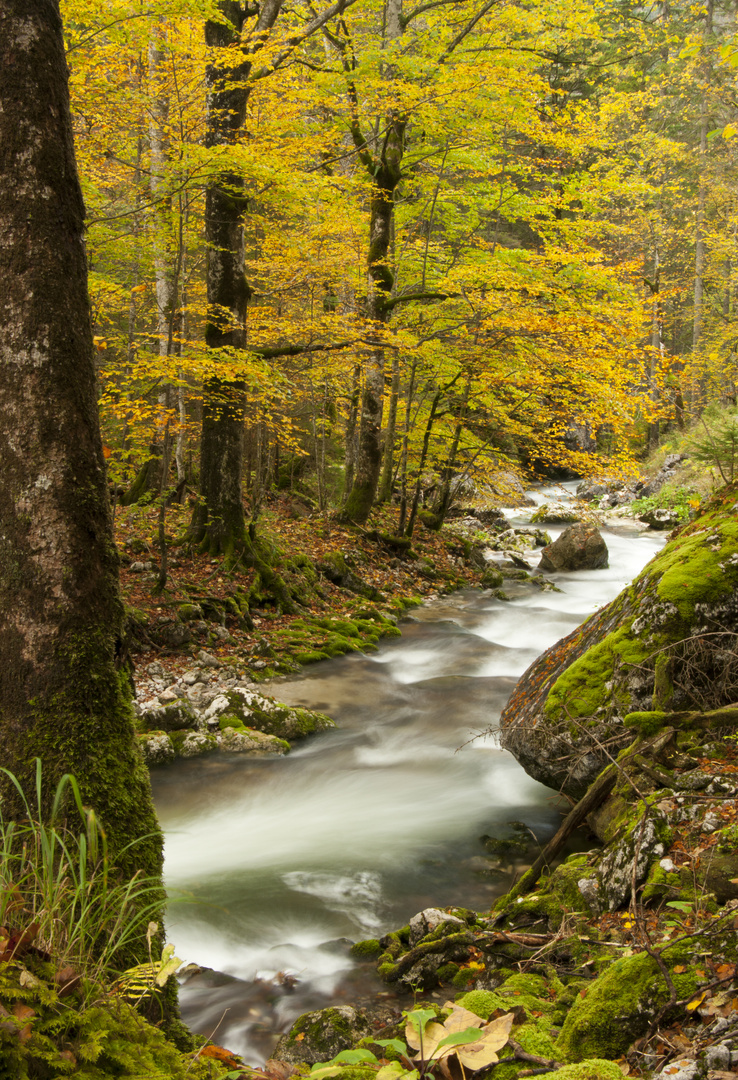 im Hartelsgraben