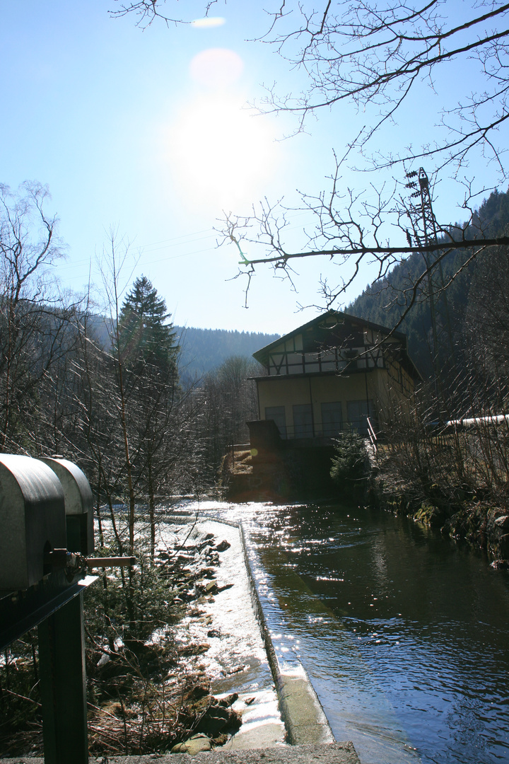 ...im Harz...