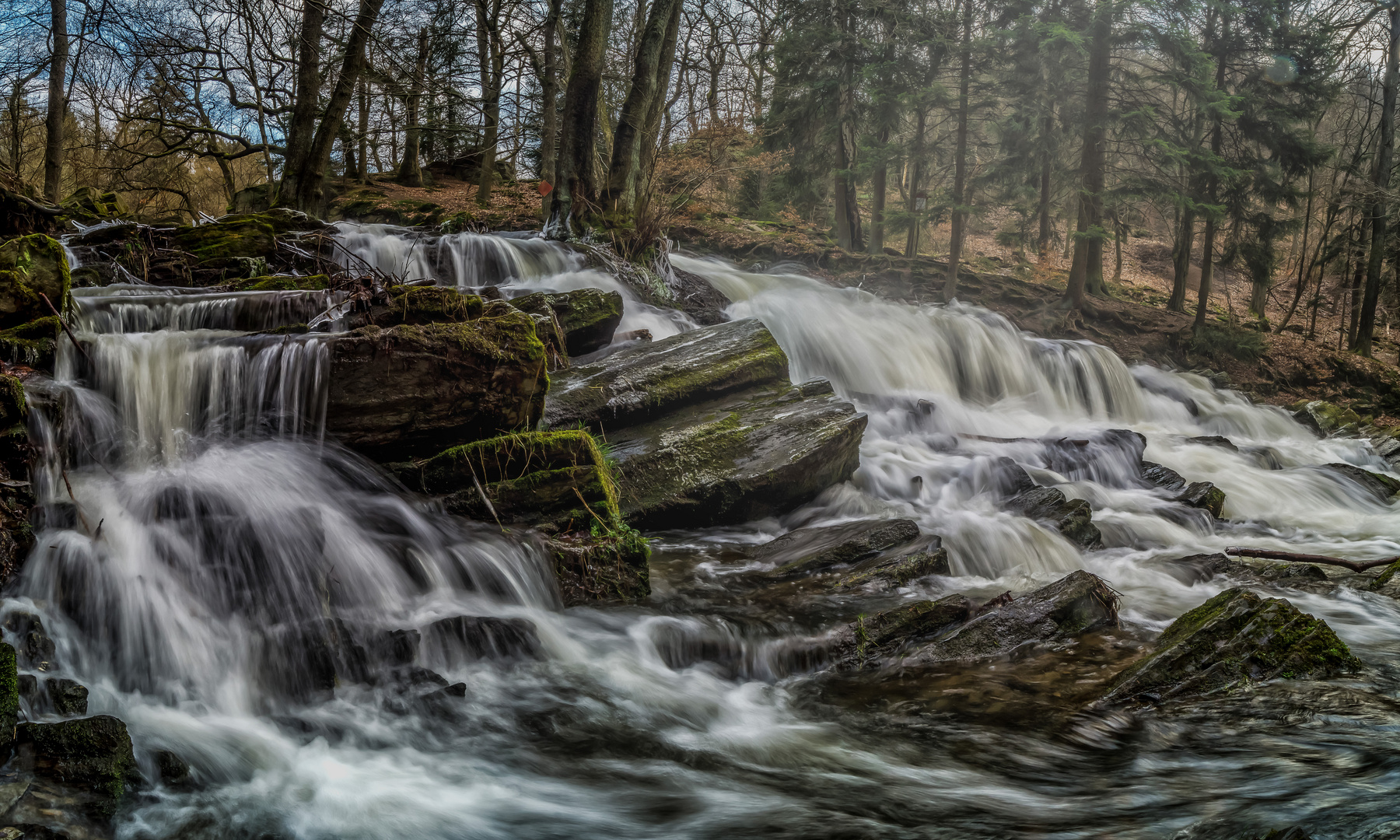 Im Harz