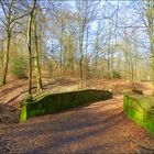 Im Hasenbusch in Wuppertal-Elberfeld