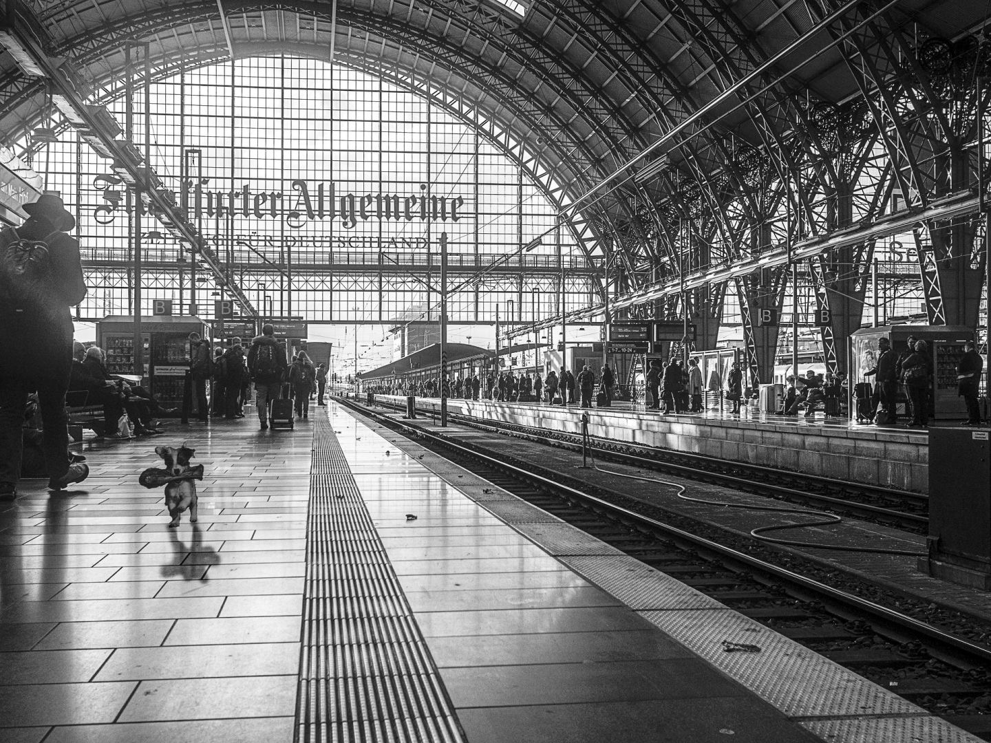 Im Hauptbahnhof Frankfurt