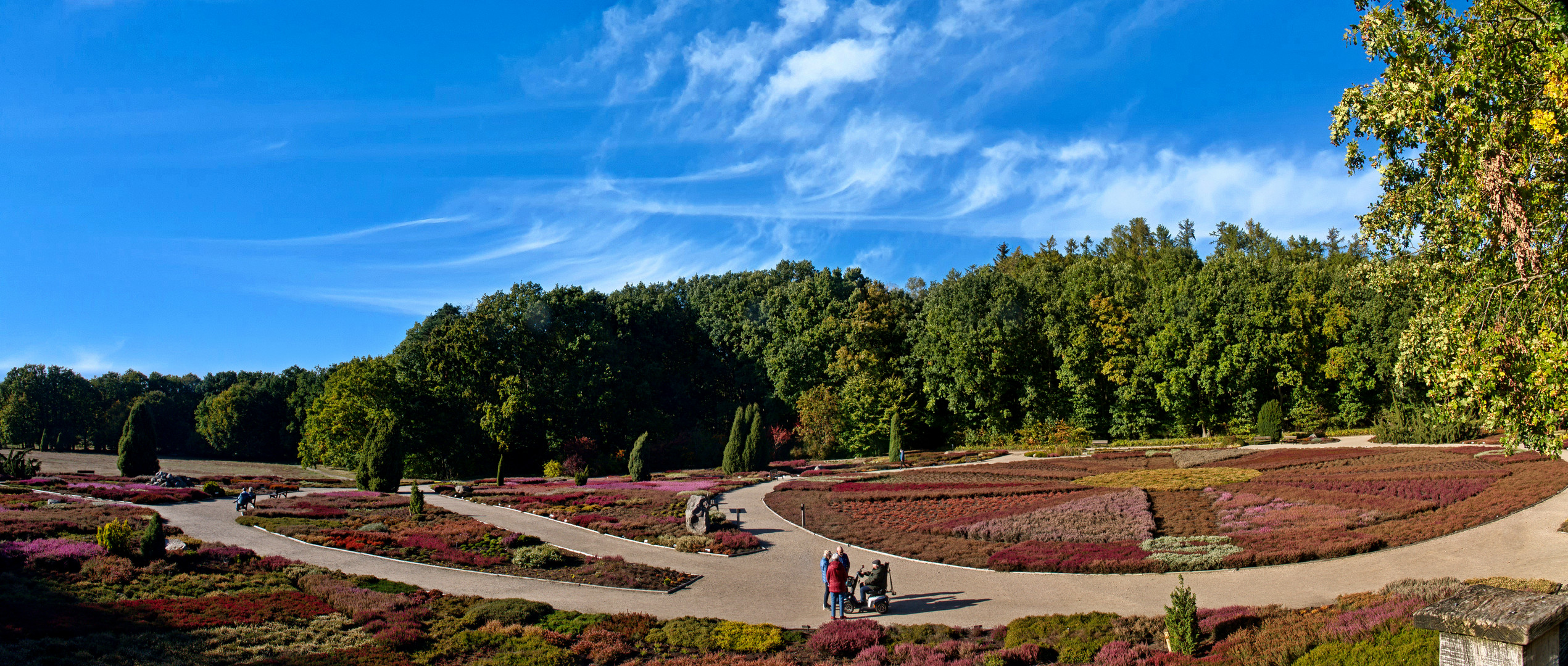 Im Heidegarten