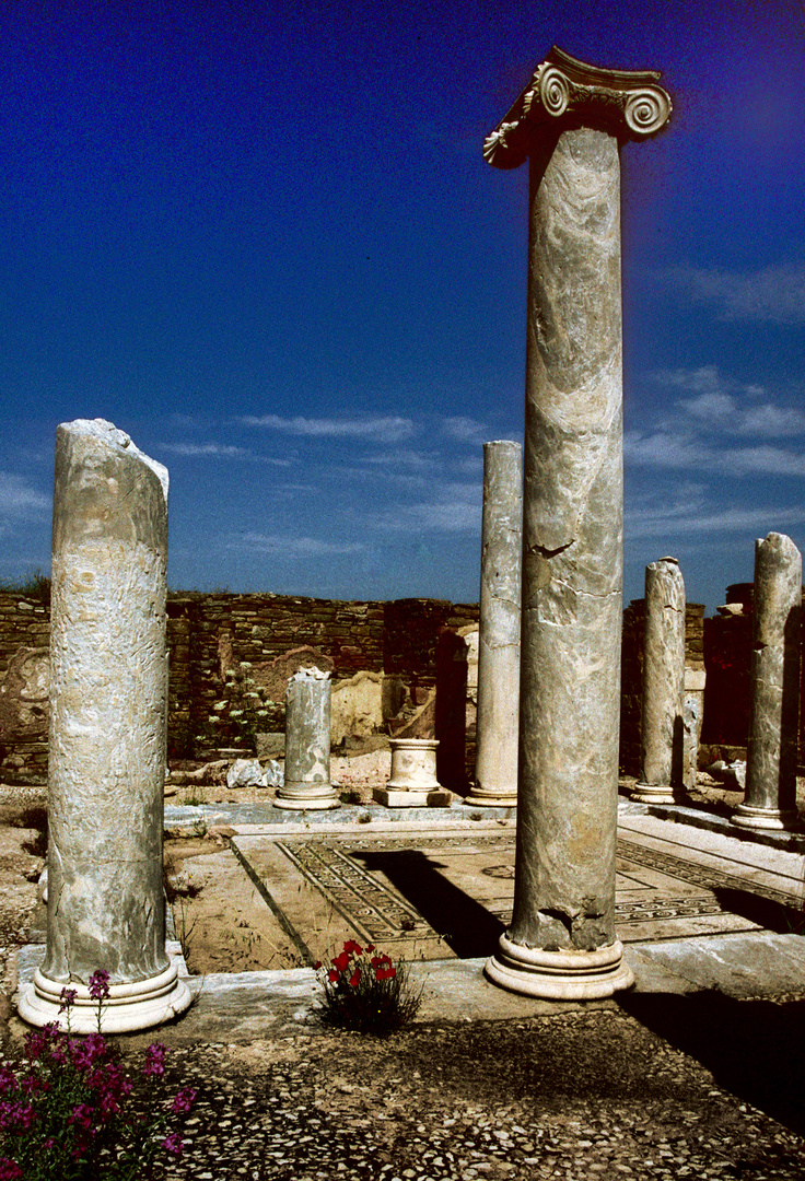 Im heiligen Bezirk, Delos