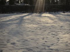 Im heimischen Garten