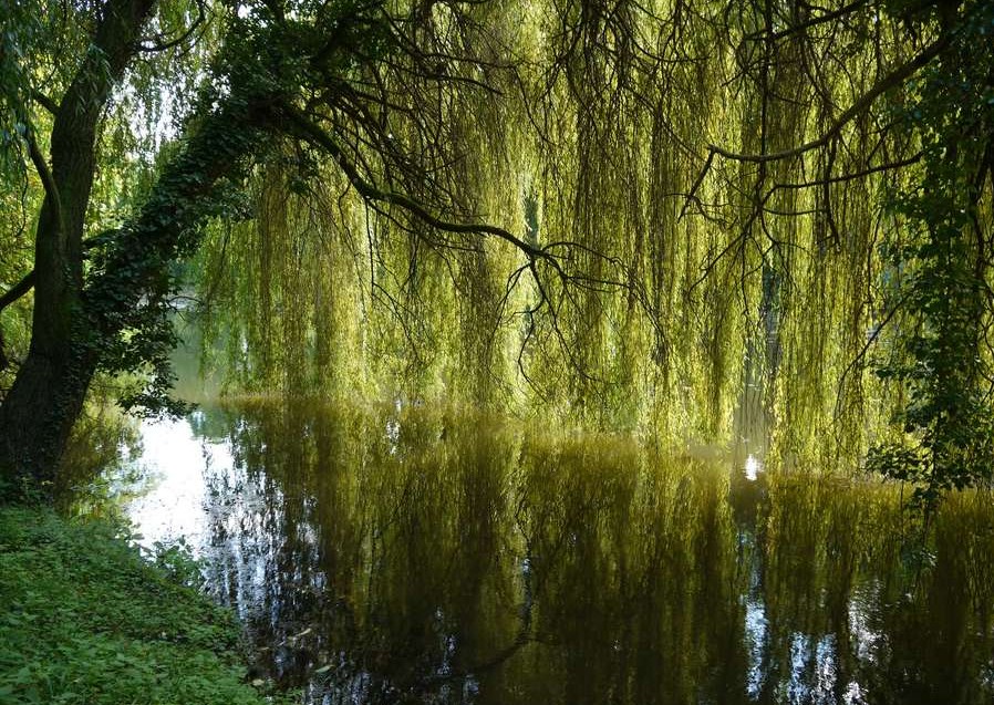 Im Heltorfer Schloßpark