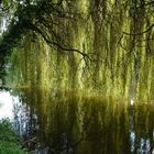 Im Heltorfer Schloßpark