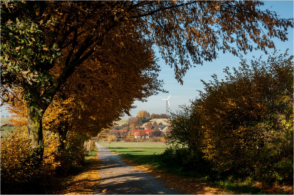 Im herbslichen Farbenrausch ...