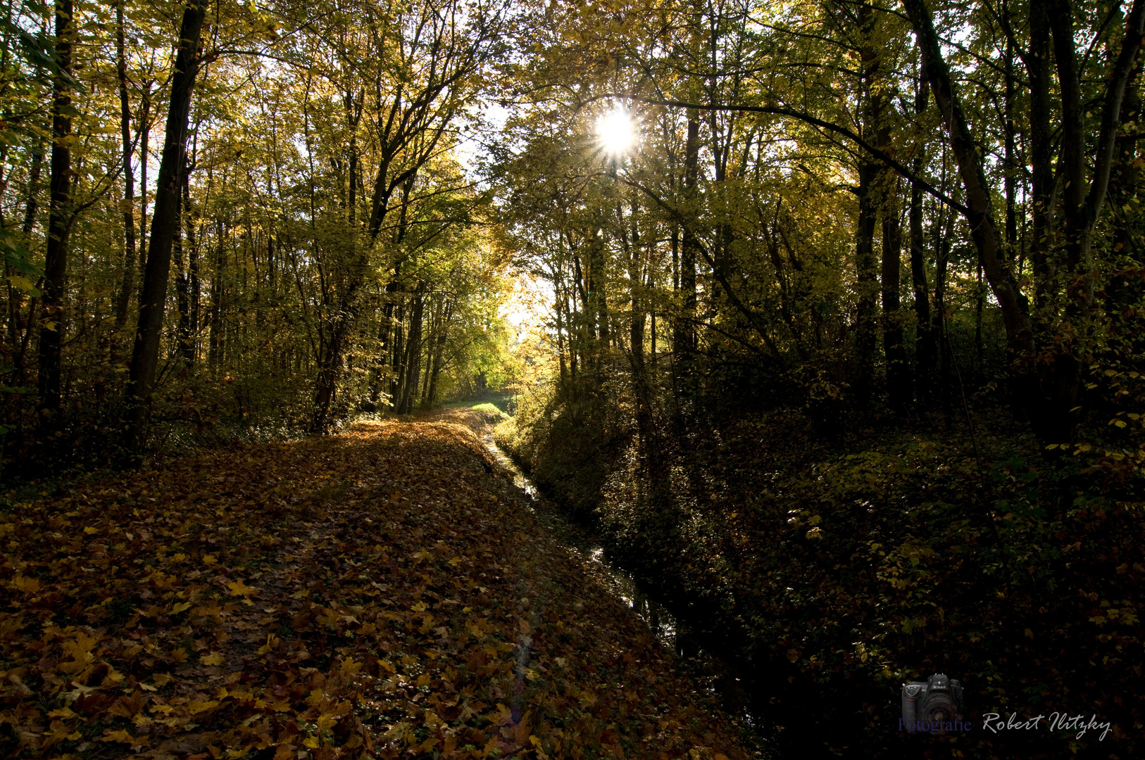 Im Herbst