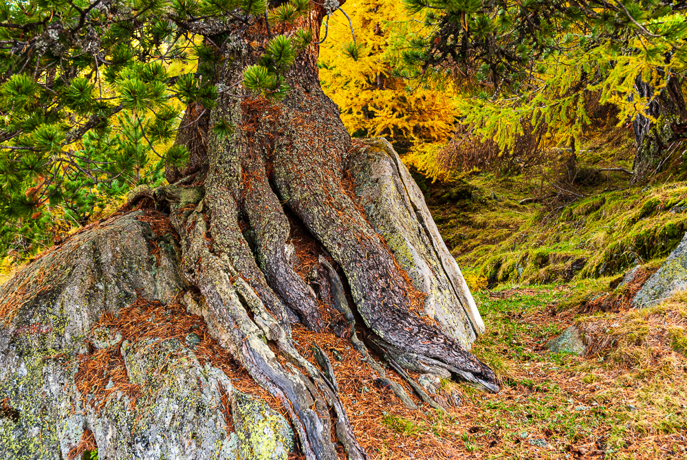 Im Herbst