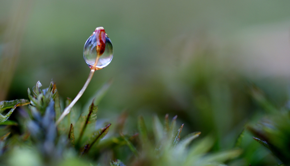 im herbst von feinerkleiner 