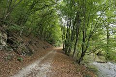 Im Herbst 2022 entlang der Weil 01