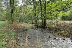 Im Herbst 2022 entlang der Weil 04