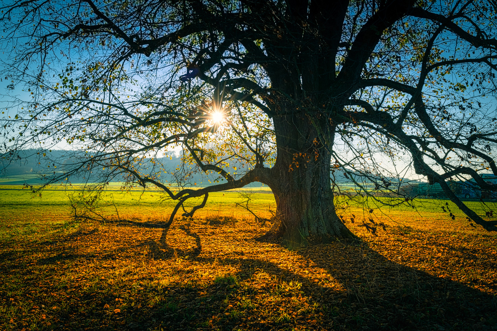 Im Herbst