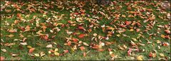 Im Herbst...