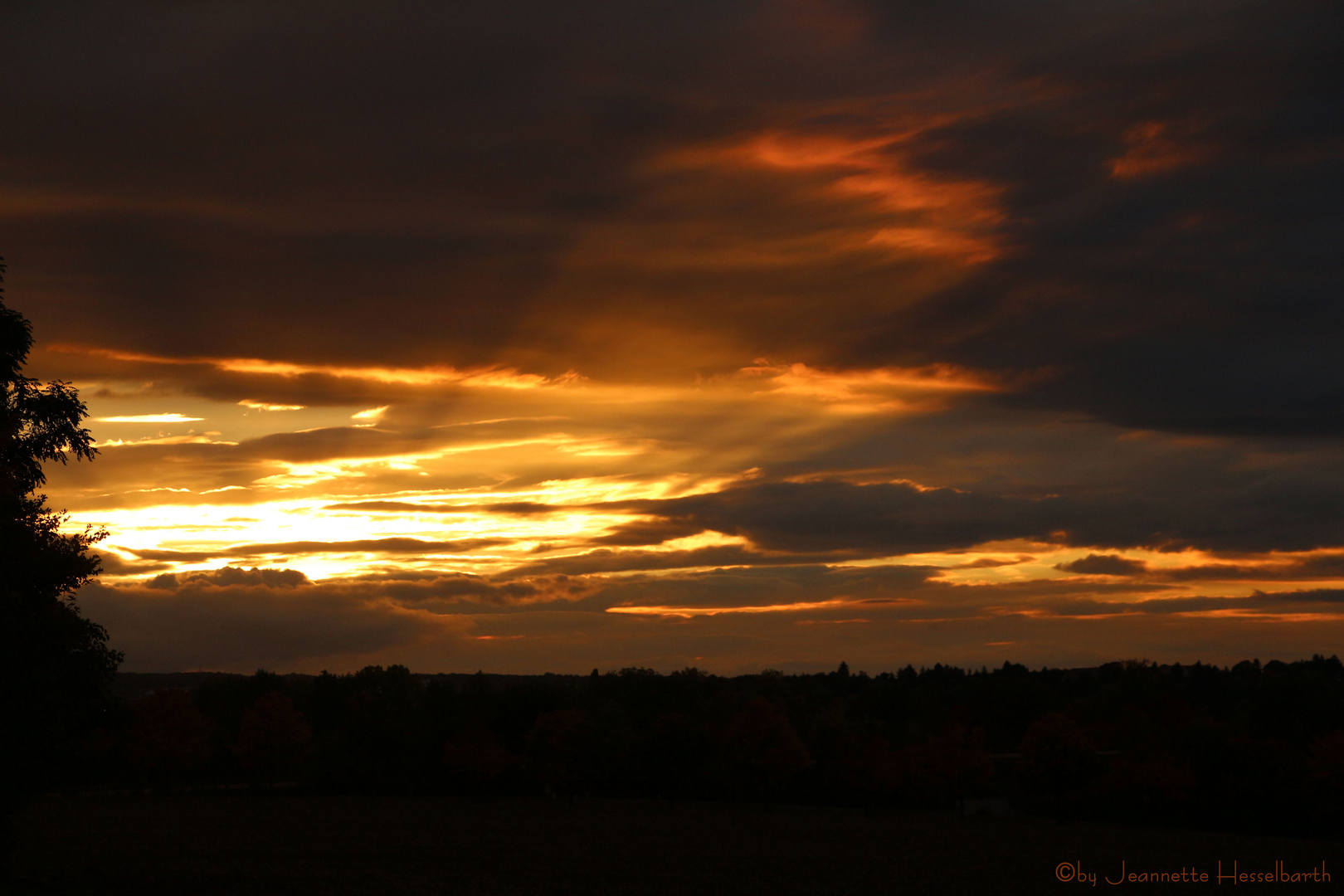 Im Herbst