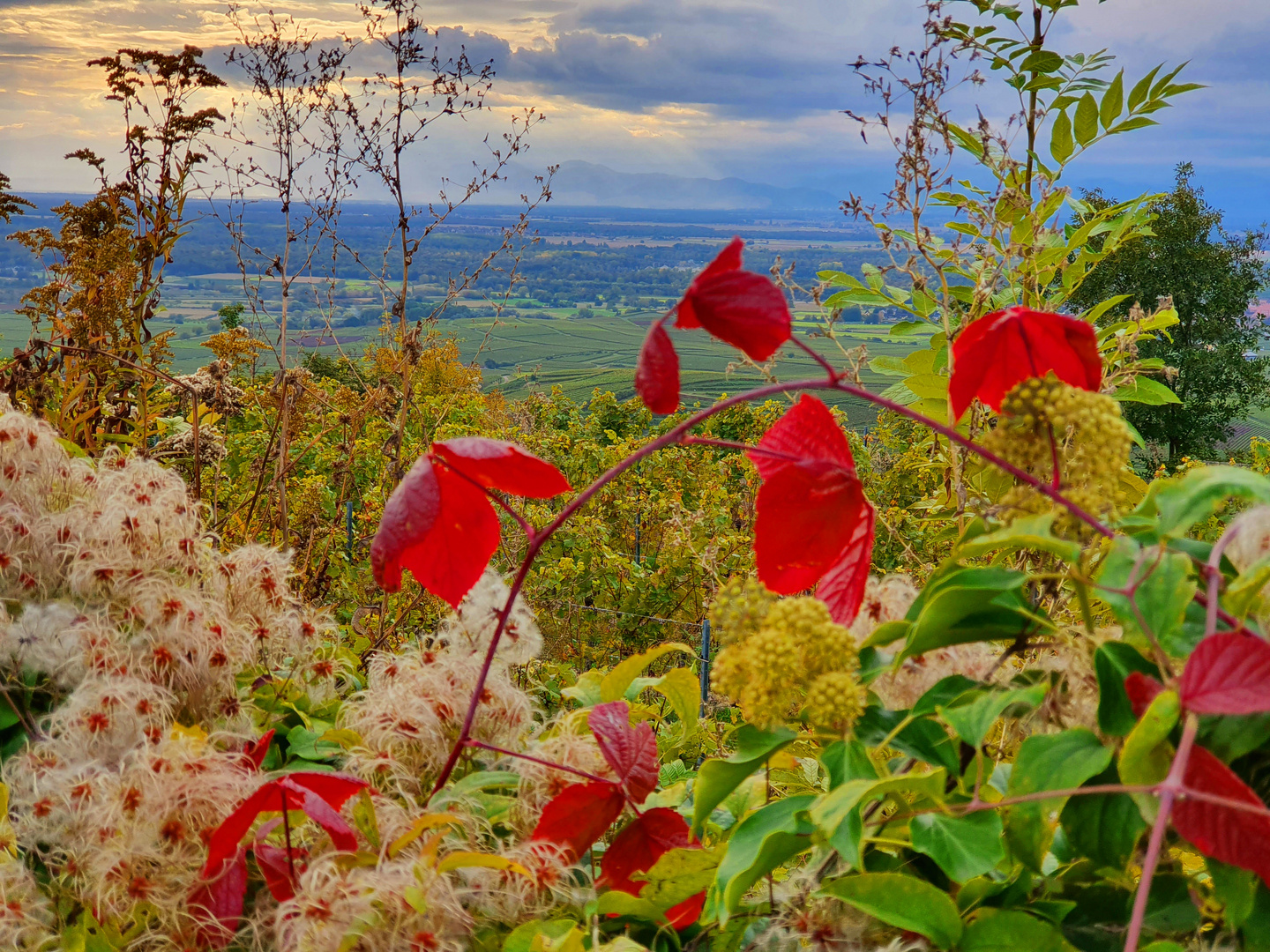 Im Herbst