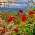 Im Herbst