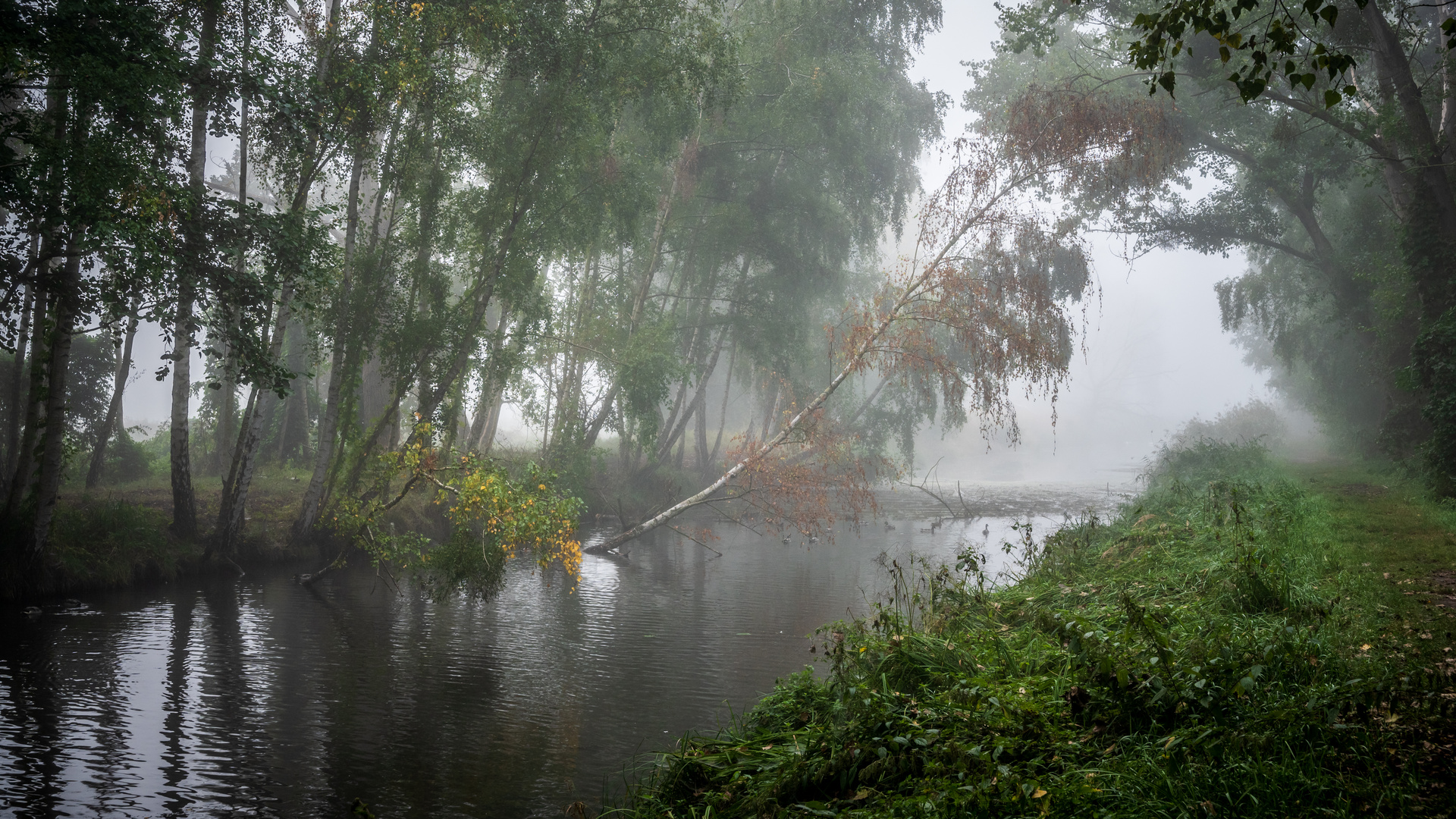 Im Herbst