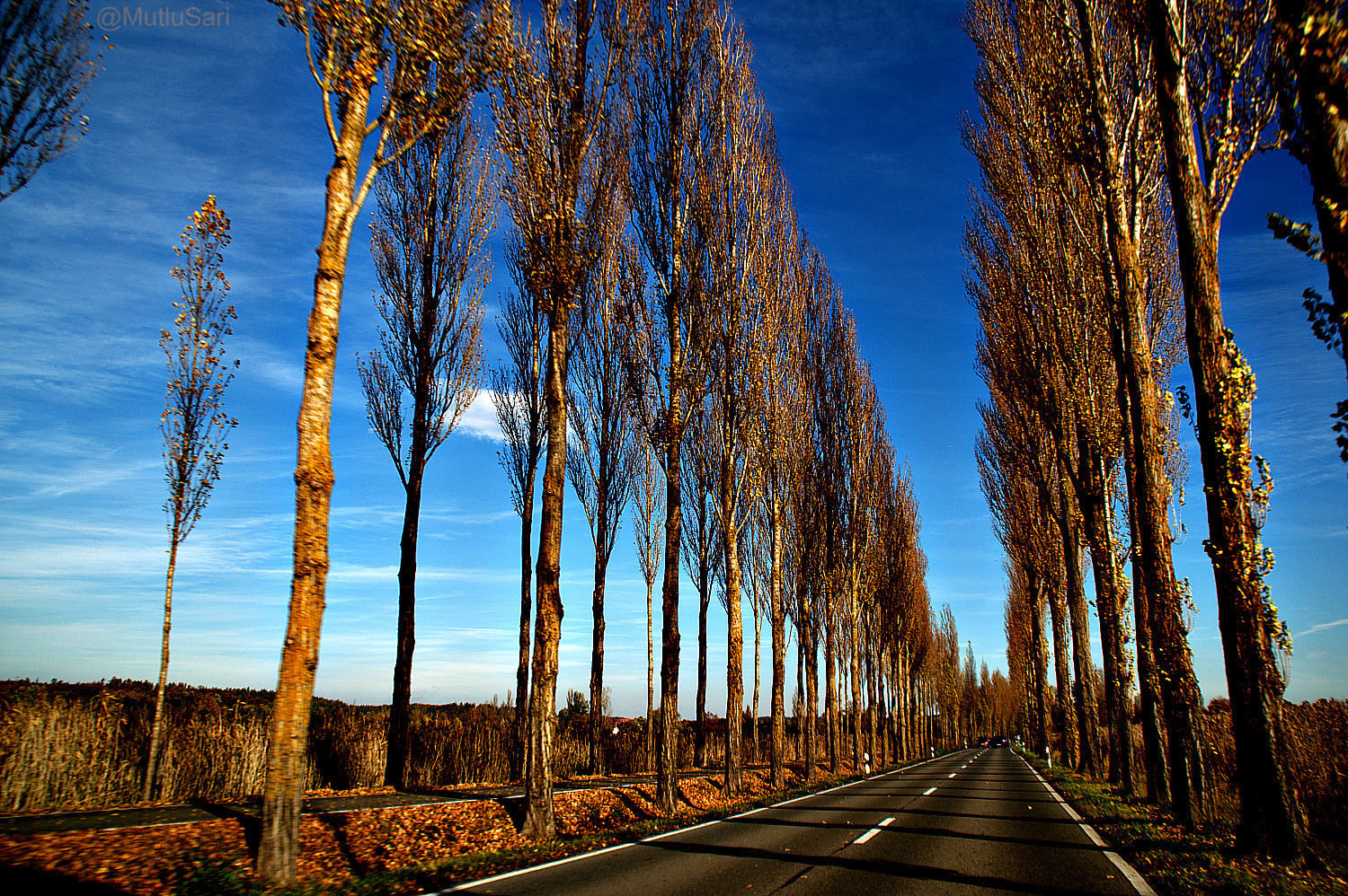 im Herbst