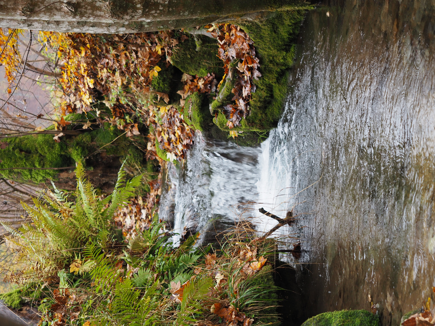 im Herbst