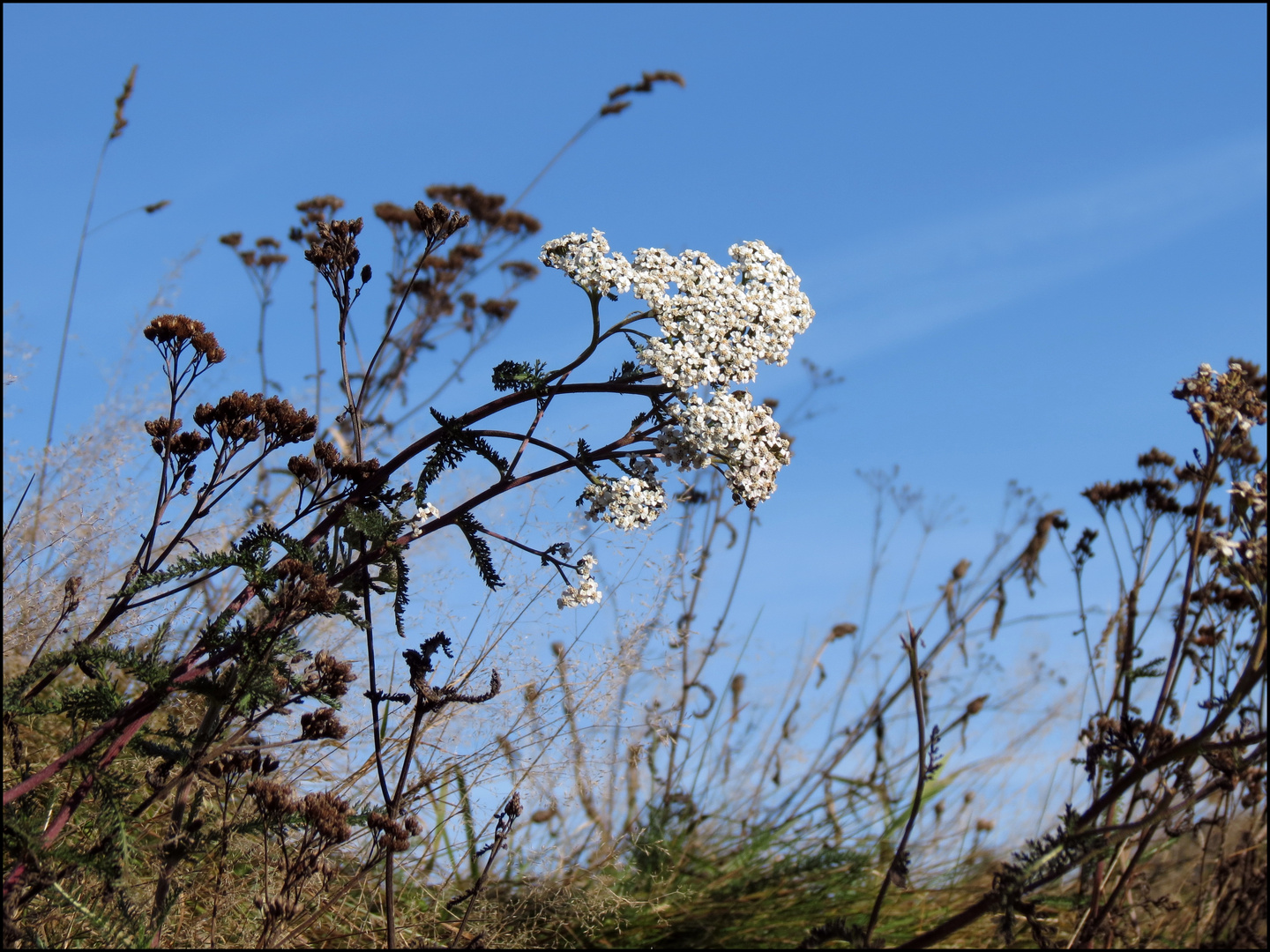 Im Herbst