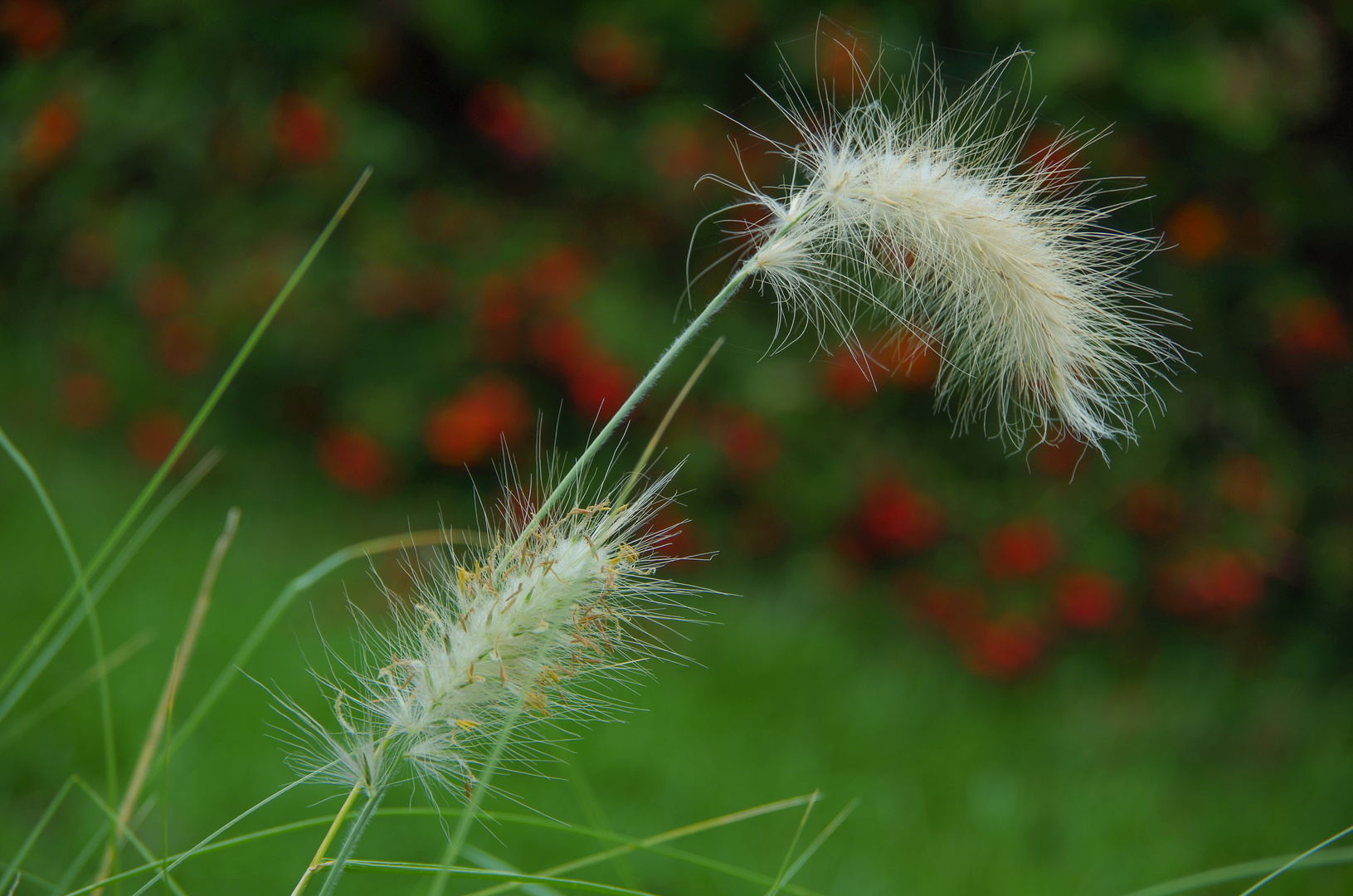 im Herbst