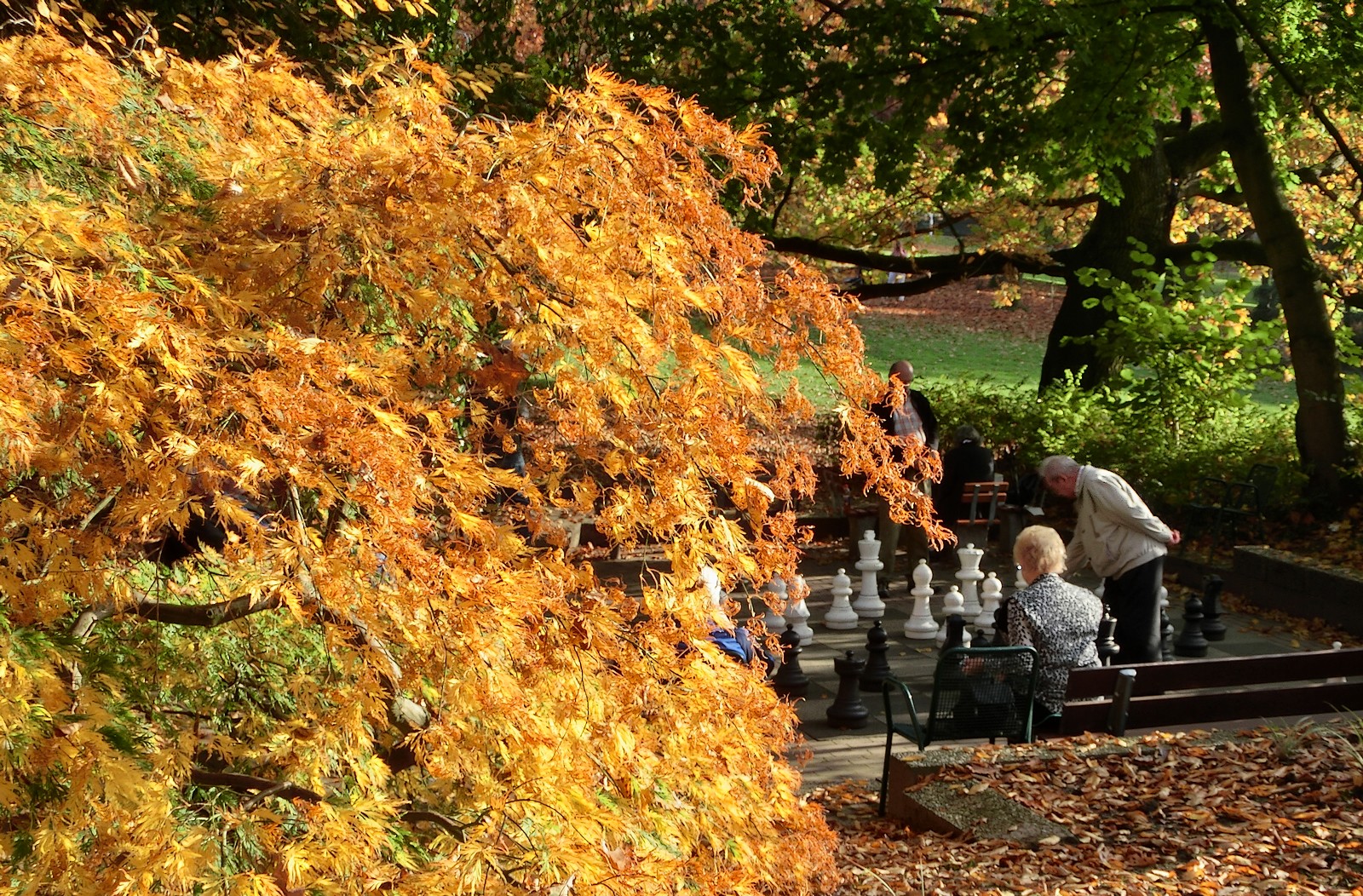 Im Herbst aktiv bleiben