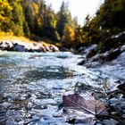 Im Herbst am Rißbach 2