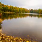 Im Herbst am Rotbach See