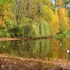 Im Herbst am See ... 