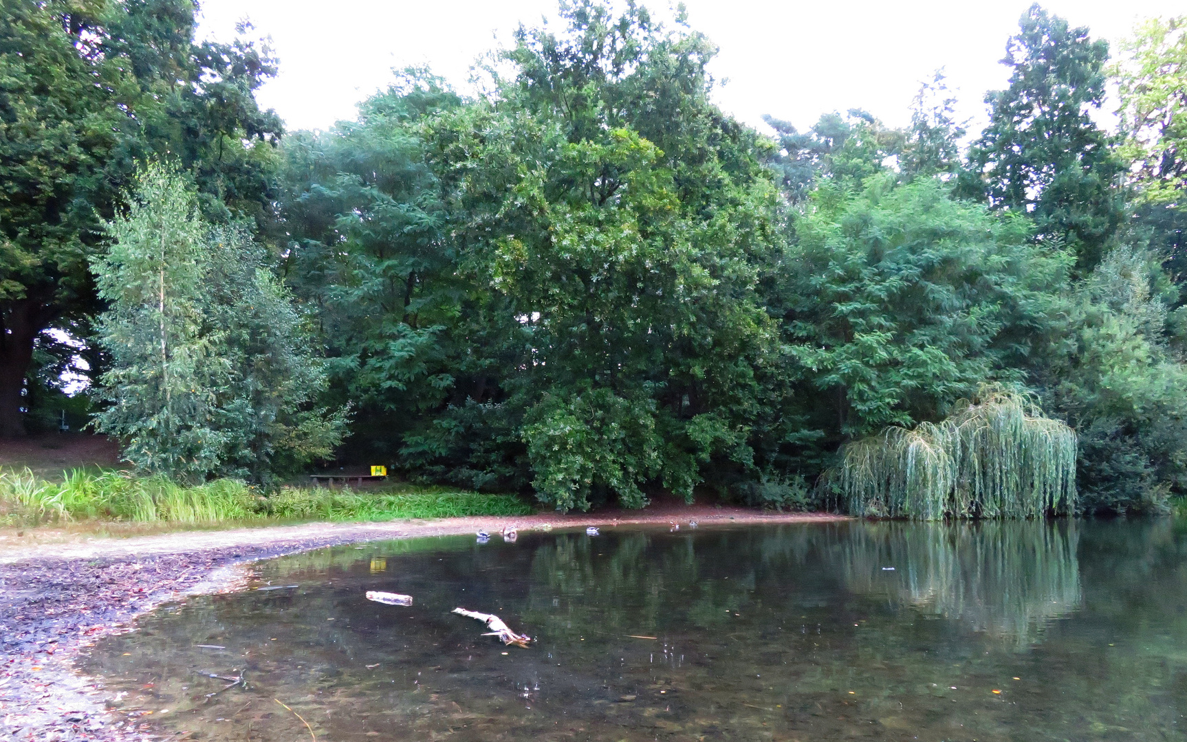 im Herbst am See ...