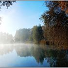 Im Herbst am Weiher DSCN0344