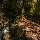 Im Herbst an der Düssel