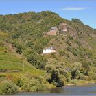 ... Im Herbst an der Mosel #11 ...